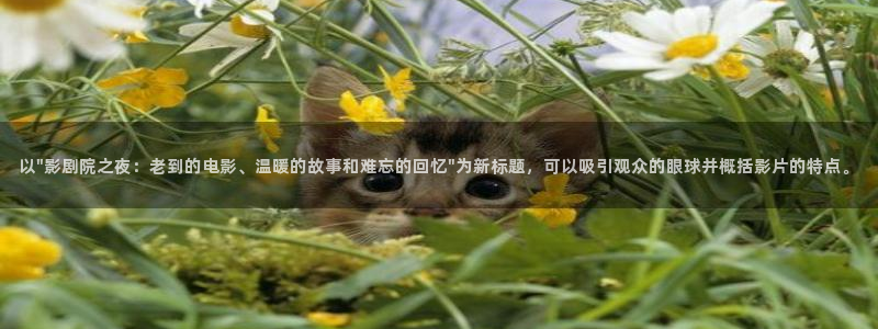 麻豆电影mv