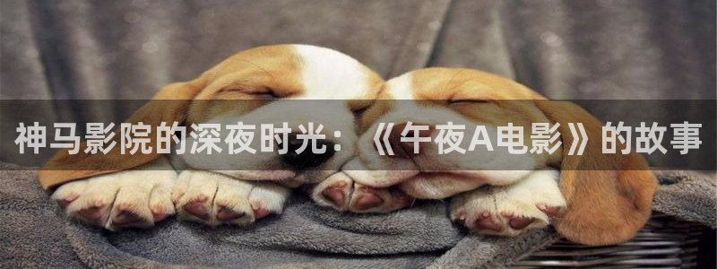 无锡麻豆电影