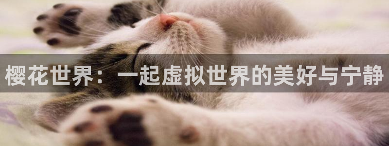 麻豆电影免费看电影