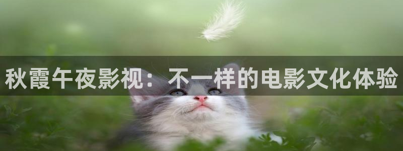 星空好看的电影