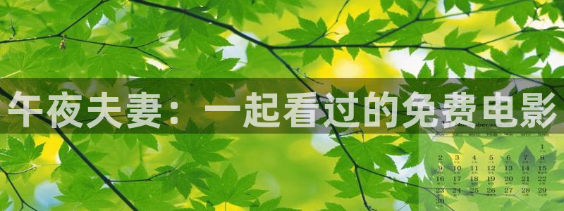 麻豆电影入口