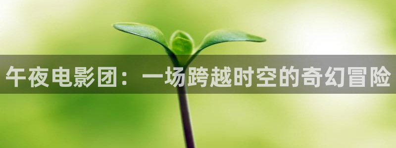 麻豆电影电影高清免费观看