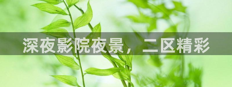 麻豆电影在线观看免费观