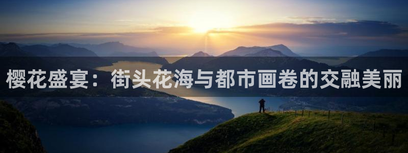 光影麻豆电影