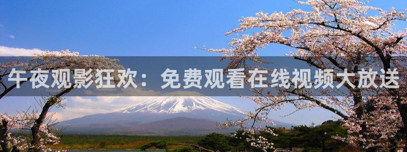 麻豆电影高清免费观看