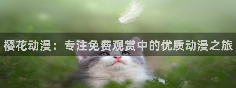 麻豆电影手机在线观看免费完整版