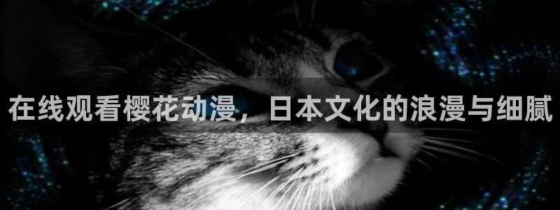 星空影视在线观看完整版