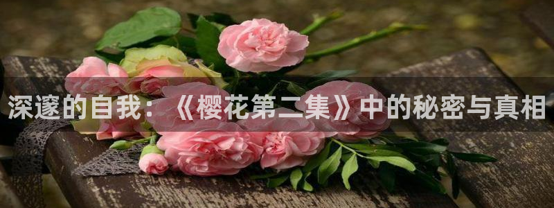 星空传媒精东影业