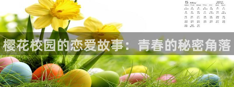 星空网高清不卡