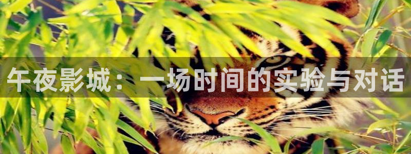 麻豆电影电视免费下载