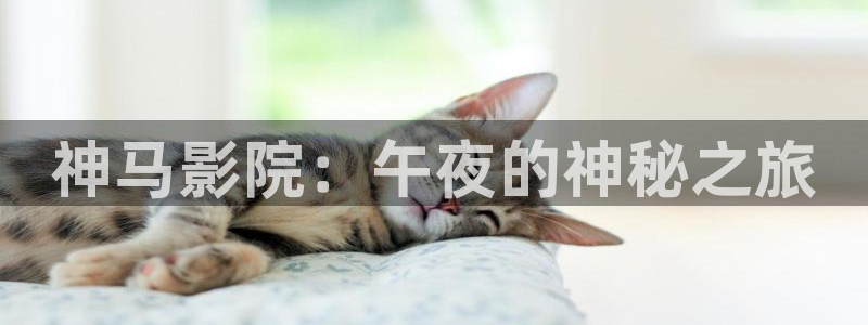 麻豆电影免费看电视剧