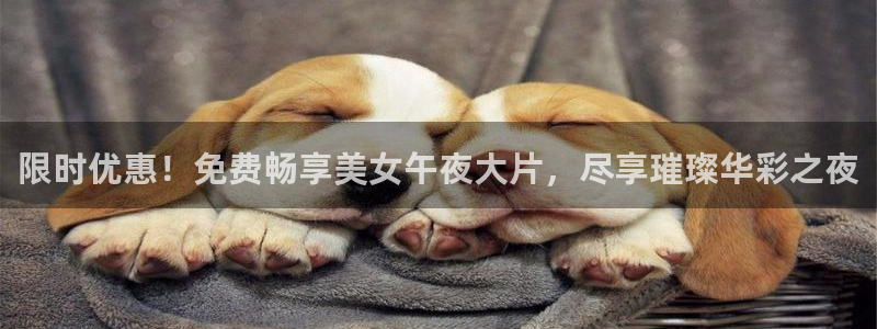 星空影视在线观看免费全集