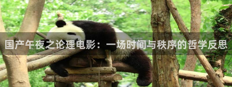 麻豆电影电影电视剧完整版在线看