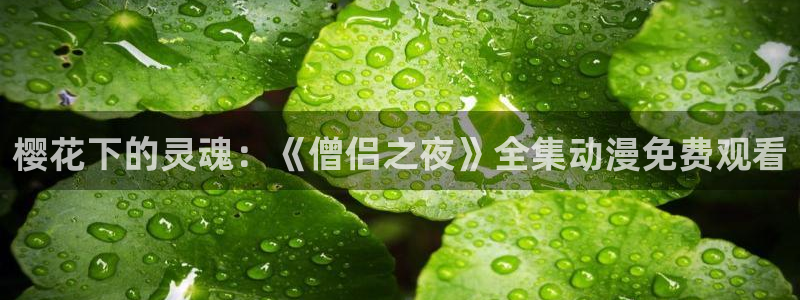 麻豆电影免费高清视频