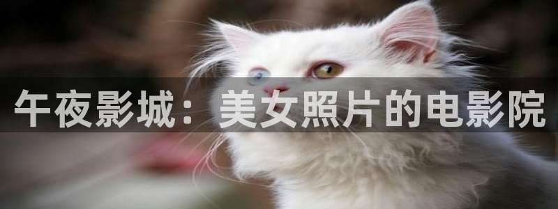 家庭影院星空顶施工