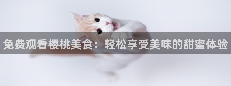雁回时在线观看麻豆电影