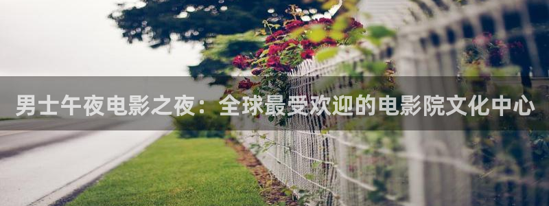 星空影视免费下载官网