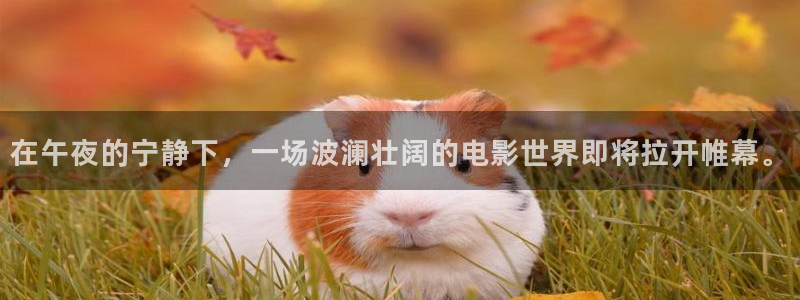 固安星空影城今日影讯