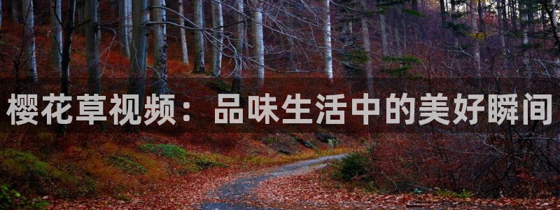 麻豆电影免费观看电影大全视频高清版